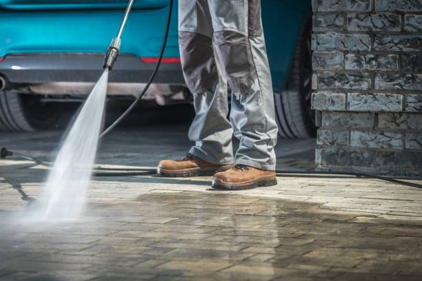Best Pre-Holiday Cleaning  in Central City, IL