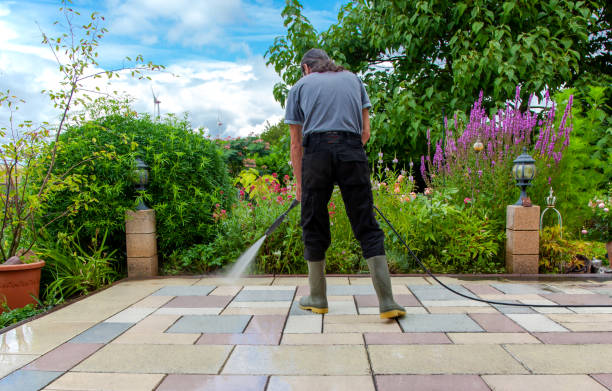 Best Winterizing Services  in Central City, IL