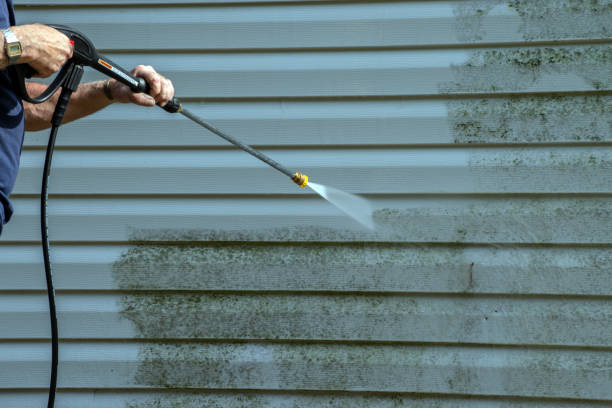 Best Solar Panel Cleaning  in Central City, IL